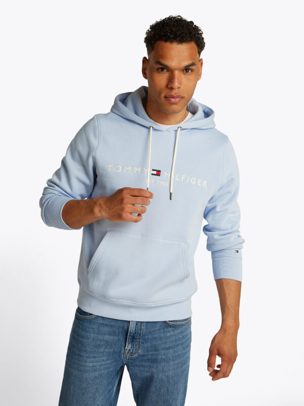 Tommy Hilfiger Tommy Hoody | MW0MW11599-C10